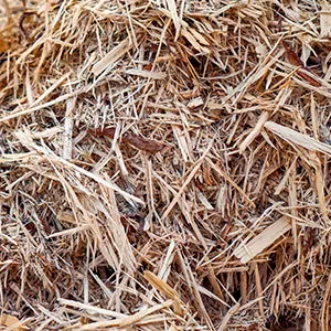 Щепа для арболита оптом в Вологде и других различных марок заказать от 16 тонн